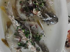 -八仔大富楼·河鲜(西江店)