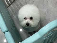 -瑞派·爱瑞可动物医院·口腔专科(广华新城分院)