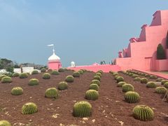 -漳州滨海火山岛自然生态风景区