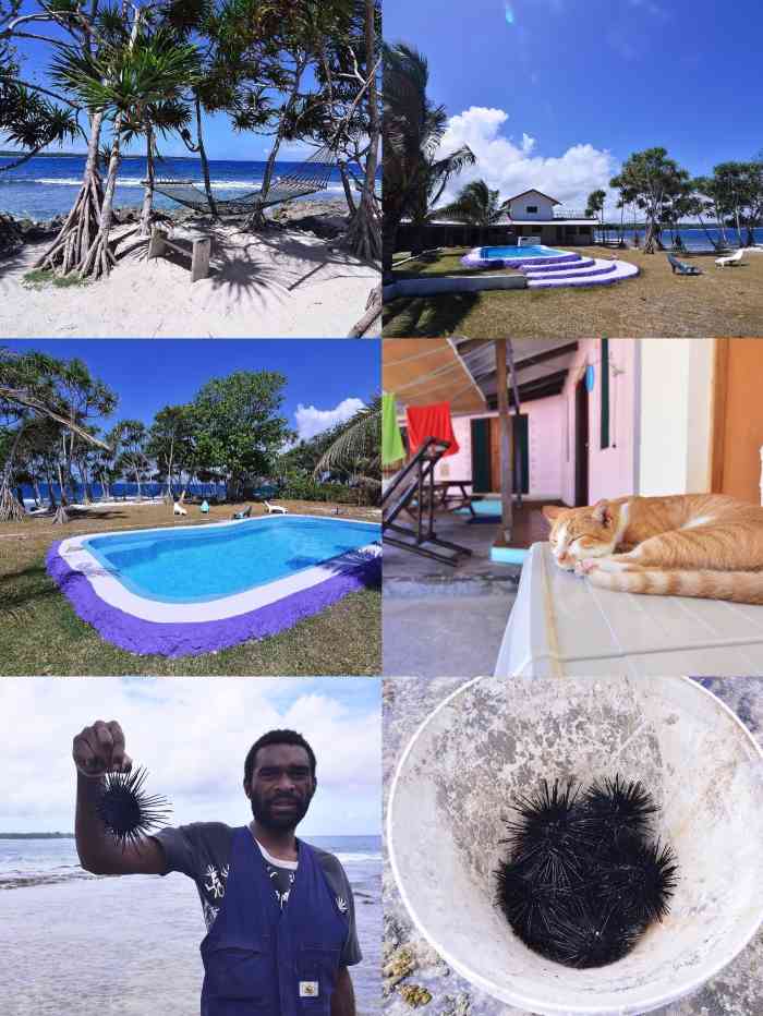 hideaway island marine reserve-"这是个独立的小岛,岛上只有这家