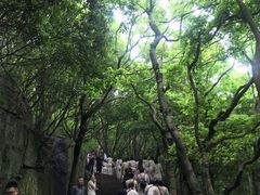 -普陀山风景名胜区-法雨禅寺
