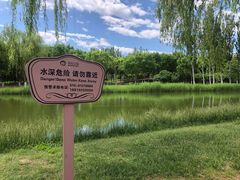 -大兴滨河森林公园