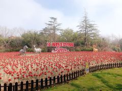 -上海野生动物园