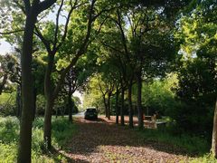 -广富林郊野公园