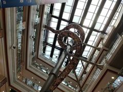 -巴黎春天(浦建店)