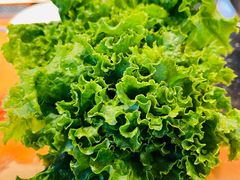 -佟爷·老北京炙子烤肉(动物园店)