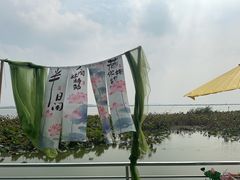 -七的湖·晚芳亭·阳澄湖农家菜·大闸蟹(莲花岛店)