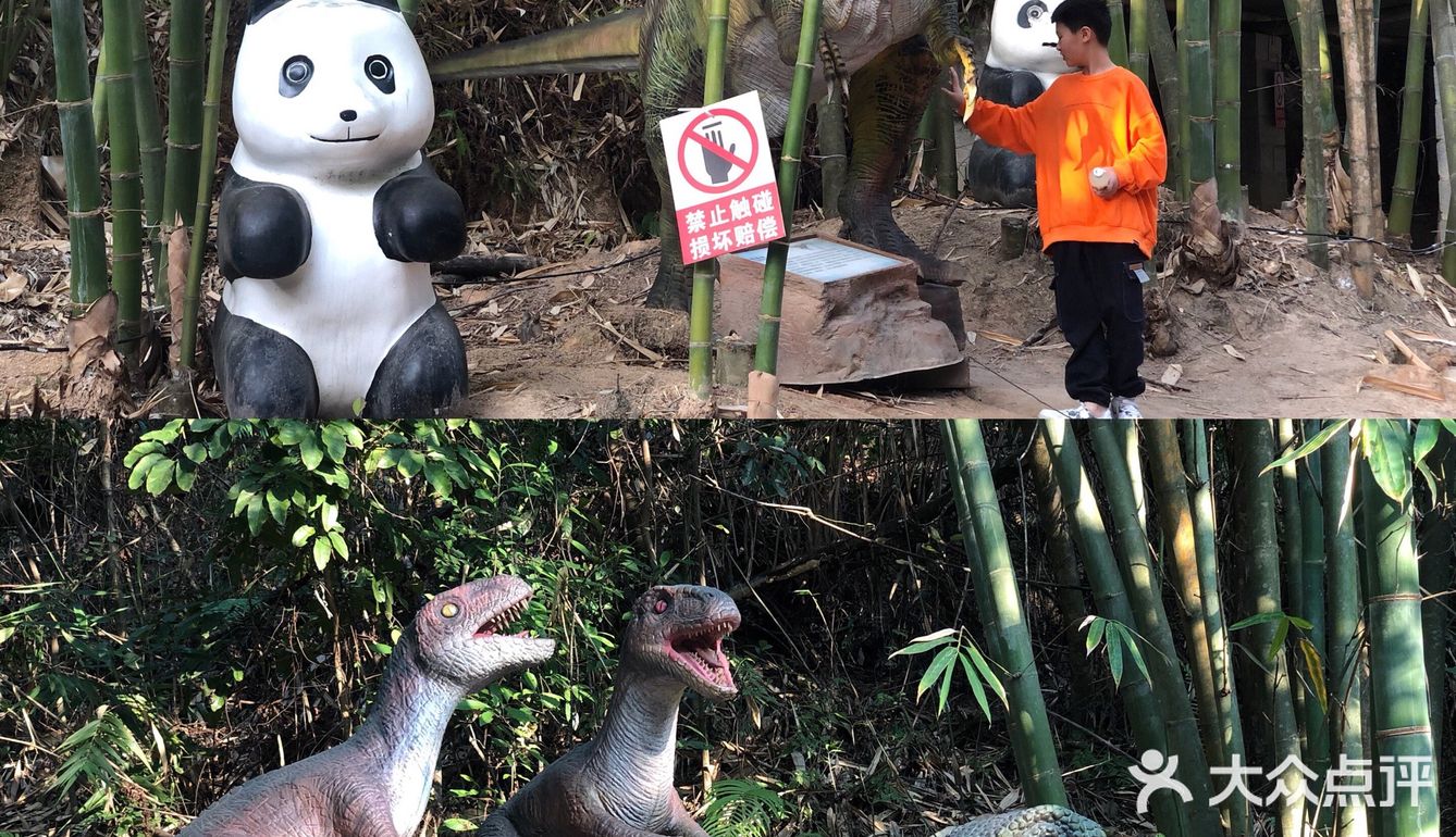 同安遛娃好去处✔️锦仔山生态乐园