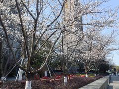 -苏州香格里拉大酒店