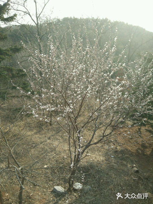 童牛岭风景区android_upload_pic图片