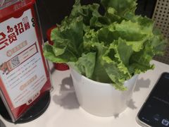 -八合里潮汕鲜牛肉火锅(福州万象城店)