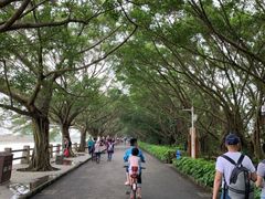 -大湾区中央湿地公园