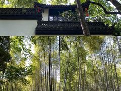 -杭州黄龙洞