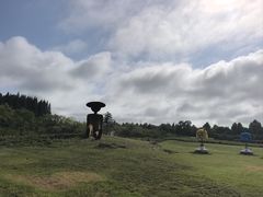 -日照海滨国家森林公园