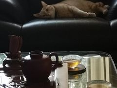 -汕尾小吃铜盘推(埔尾篮球场店)