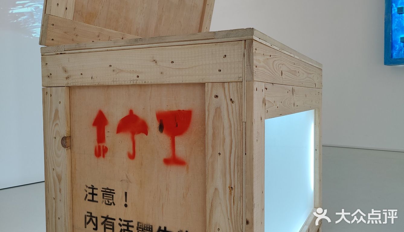 上海展览|内🈶活体生物请小心轻放🆘