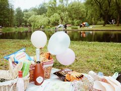 -上海共青森林公园