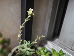 -惠润广场