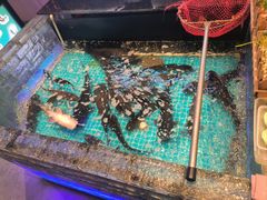 -山河屯铁锅炖鲜鹅·东北菜(开发区一店)