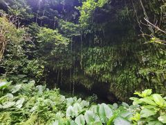 -海口火山口国家地质公园