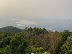 -东莞市大岭山森林公园