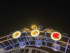 -武汉知音号