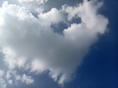 -蘭亭·新都汇