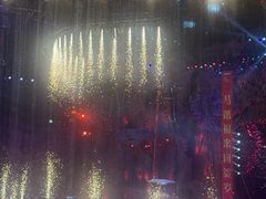 -广州长隆国际大马戏