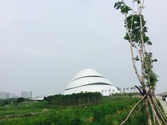 -哈尔滨大剧院