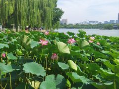 -济南大明湖景区