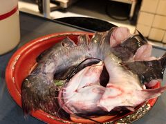 -刘淑芬·活鱼铁锅炖(北京首店)