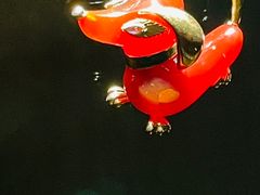 -上海当代艺术博物馆