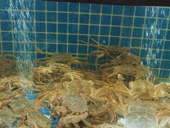 -福禧荟·海鲜自助