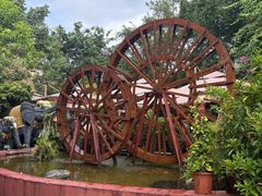 -品德宏·孔雀宴的发源地(金塔园店)