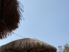 -武汉紫薇都市田园