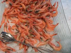 北极甜虾（生）-禾斗海鲜自助(城阳宝龙店)