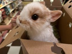 -龙猫仔乐园(惠福东路店)