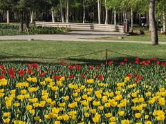 -长春公园(普阳街道)