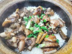 -红星光发煲仔饭(大石街店)