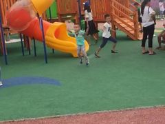 -羊亭河湿地公园