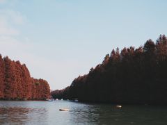 -上海海湾国家森林公园