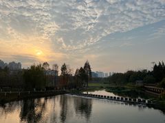 -洋湖国家湿地公园