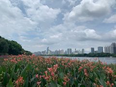 -南宁南湖公园