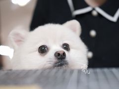 -零几体验diy皮具工作室(振业城店)