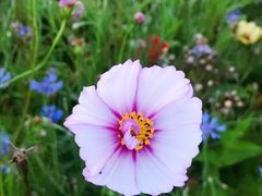 -白塘生态植物园