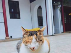 -西园戒幢律寺