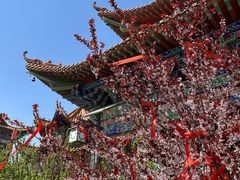 -大悲禅寺