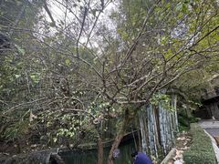 -广东温泉宾馆
