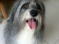 -惠康宠物医院(华能路店)