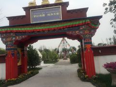 -武清南湖绿博园